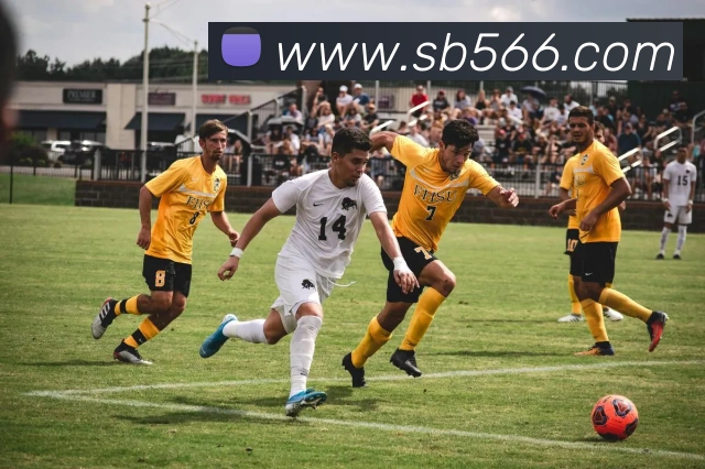 sunbet申博官网APP 封面图